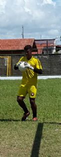 Aranha